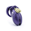 Load image into Gallery viewer, A chastity cage made of purple plastic with glitter embedded in the surface. A brass padlock on the top keeps it closed.