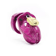 Load image into Gallery viewer, A medium-sized penis cage known as "Mr. Stubb" made of pink plastic shown on a white background. The plastic is covered with glitter, and a brass padlock keeps the top closed.
