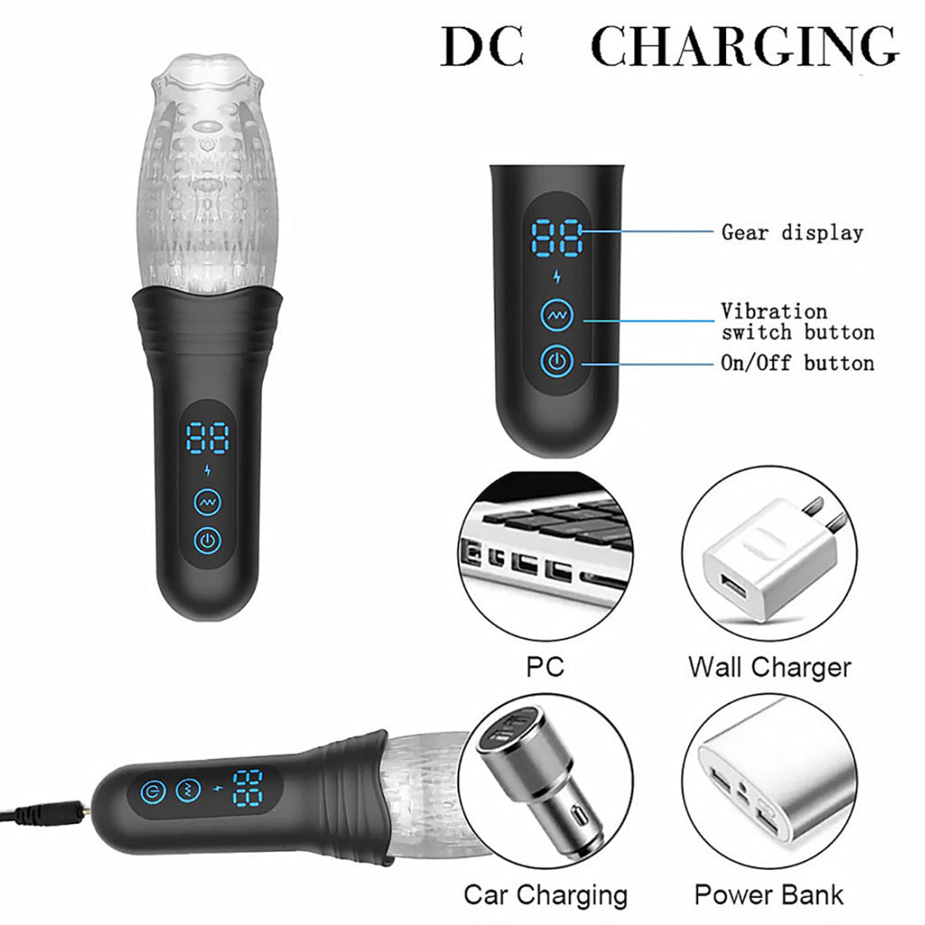 Infographic showing the different modes of DC charging for the Rose Pro: PC, Wall Charger, Car Charging, and Power Bank.