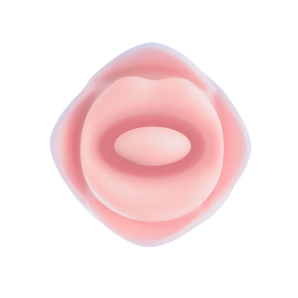The Kissing Rose
