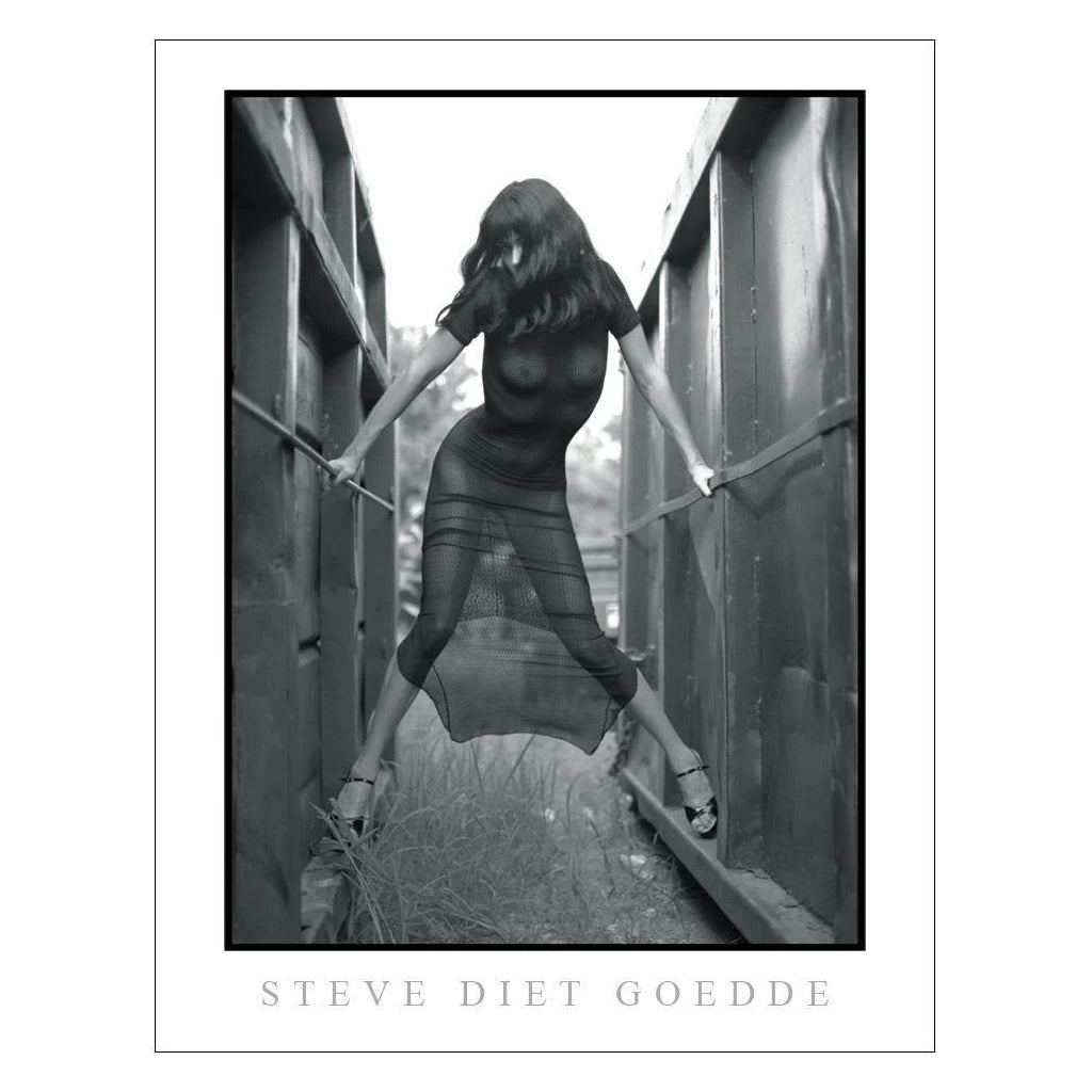 Steve Diet Goedde Poster, Gina Velour Black Dress-The Stockroom