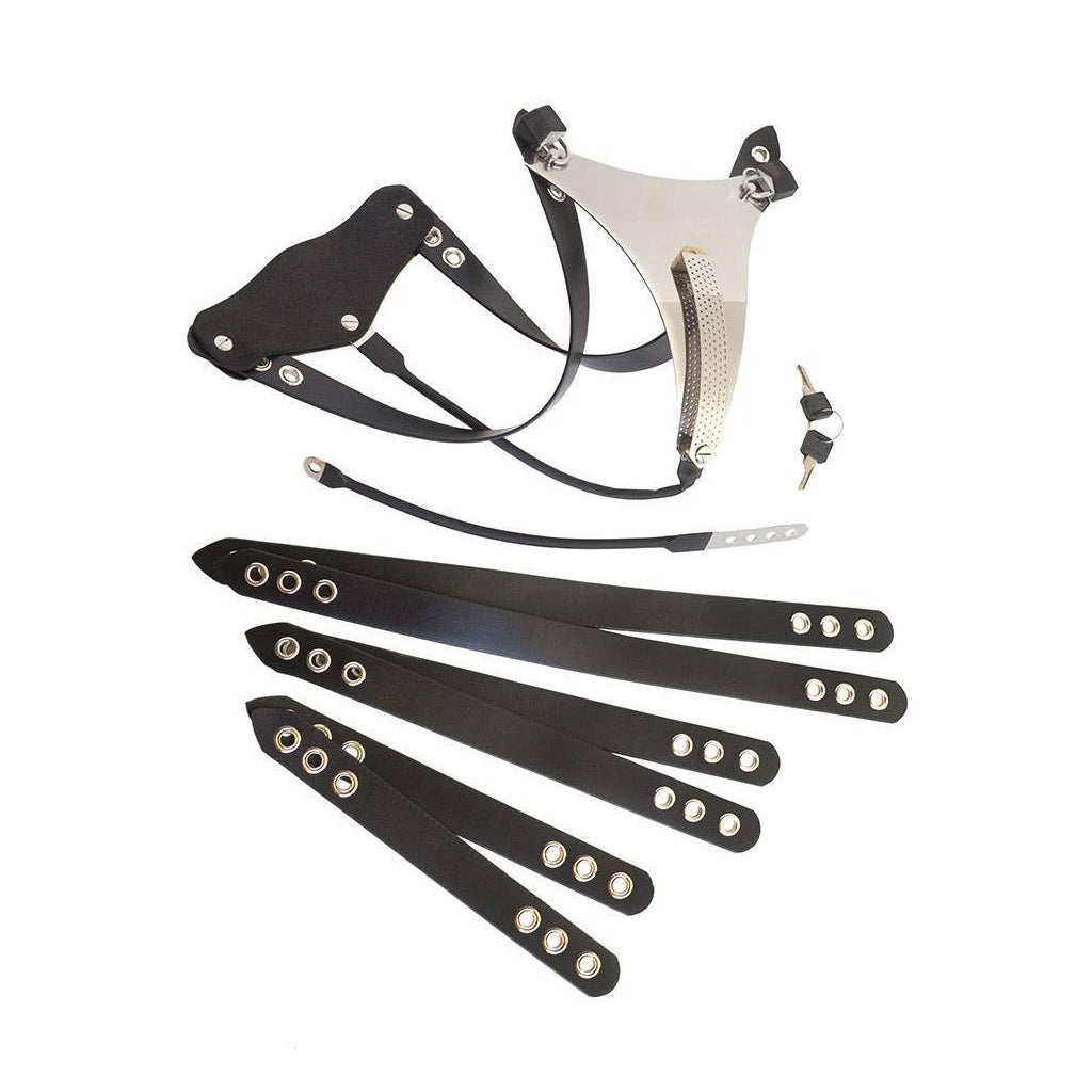 Female Hybrid Chastity Belt-The Stockroom