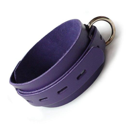 An adjustable collar made of purple leather with a metal D-ring shown in profle.