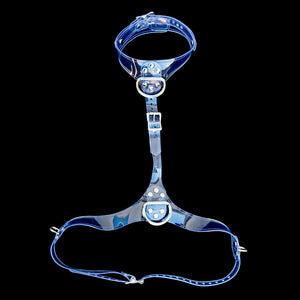 The Clear CTRL Bust Harness is shown against a black background.
