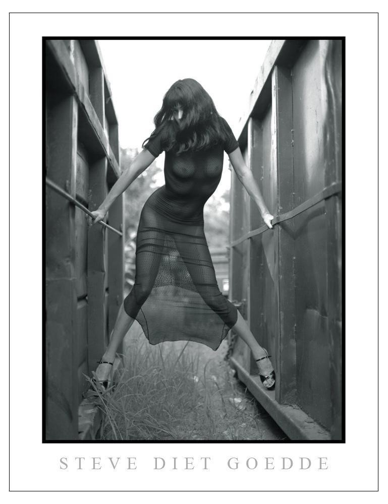 Steve Diet Goedde Poster, Gina Velour Black Dress-The Stockroom