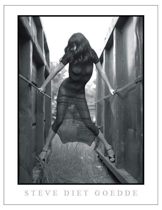 Steve Diet Goedde Poster, Gina Velour Black Dress-The Stockroom