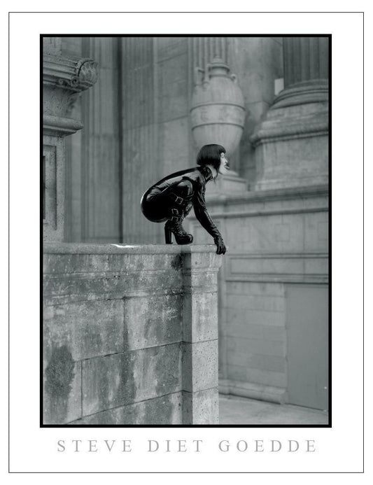 Steve Diet Goedde Poster, Midori-The Stockroom