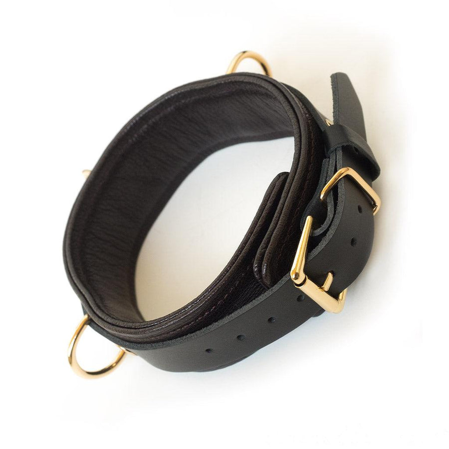 A close-up of the Brown Leather Collar With Gold Accent Hardware is shown against a blank background.