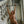 Load image into Gallery viewer, A nude woman stands in a room with marble stairs. Her head is tilted back and her arms are raised above her head with her wrists locked in the Black Wrist Spreader Bar, which hangs above her.
