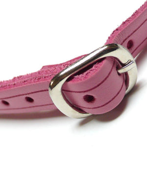 A close-up of the buckle on the Pink Ball Gag is shown against a blank background. The gag has an adjustable strap and a silver metal buckle.