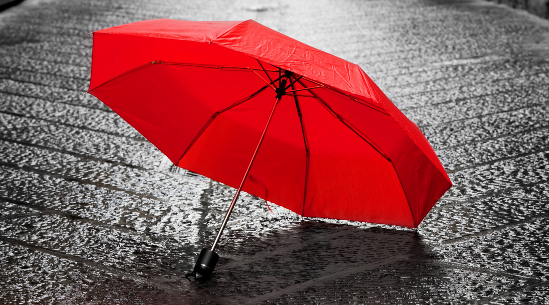 December 17th: A Day to Remember and Honor Sex Workers