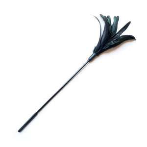 Starburst Feather Tickler-The Stockroom