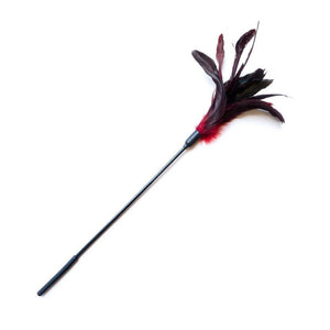 Starburst Feather Tickler-The Stockroom