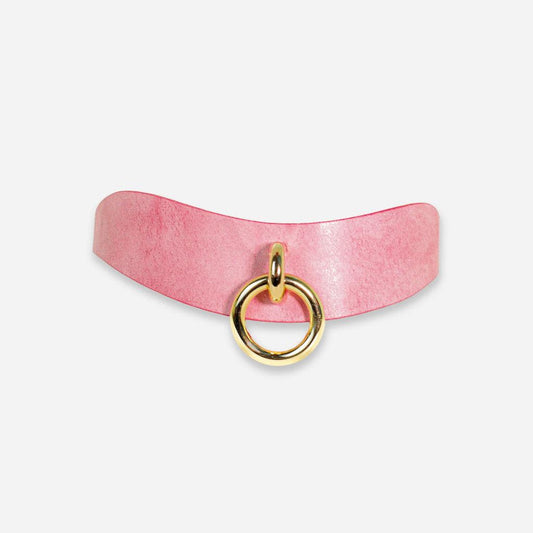 A view of the luxury leather day collar from the front on a white background. 