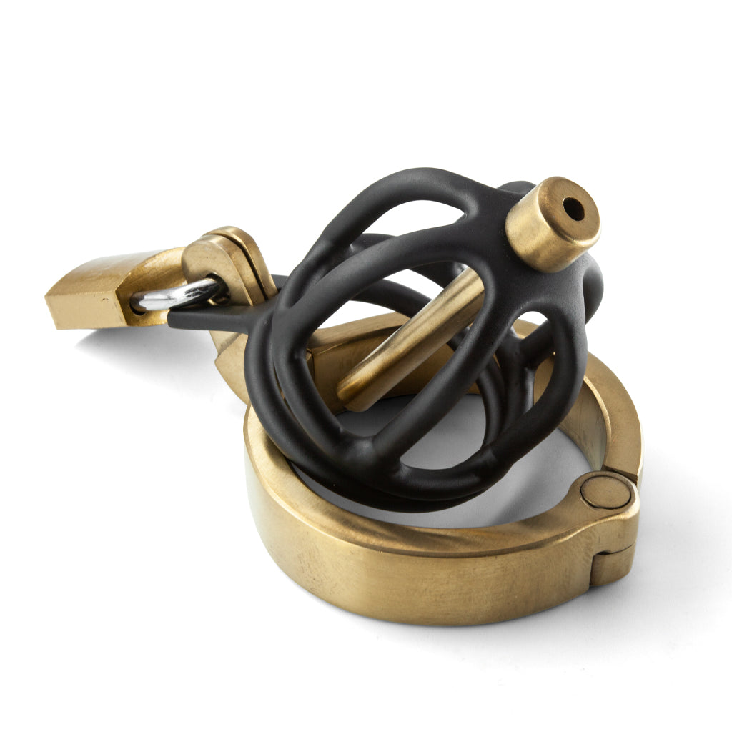A short, stubby chastity cage in gunmetal with brass fastening ring and  padlock on a white background.