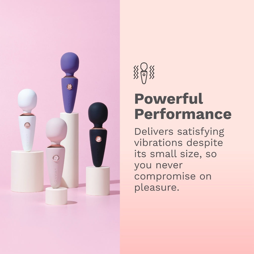 Le Wand Mini Micro Vibrator
