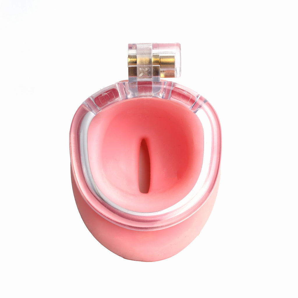 Pussyfyer Sissy Chastity Cage