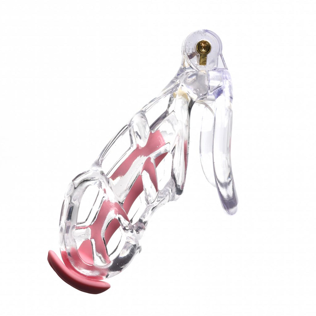 Guardian Clear Chastity Cage