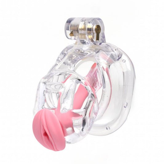 Guardian Clear Chastity Cage