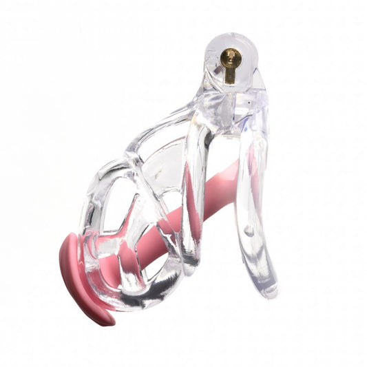 Guardian Clear Chastity Cage