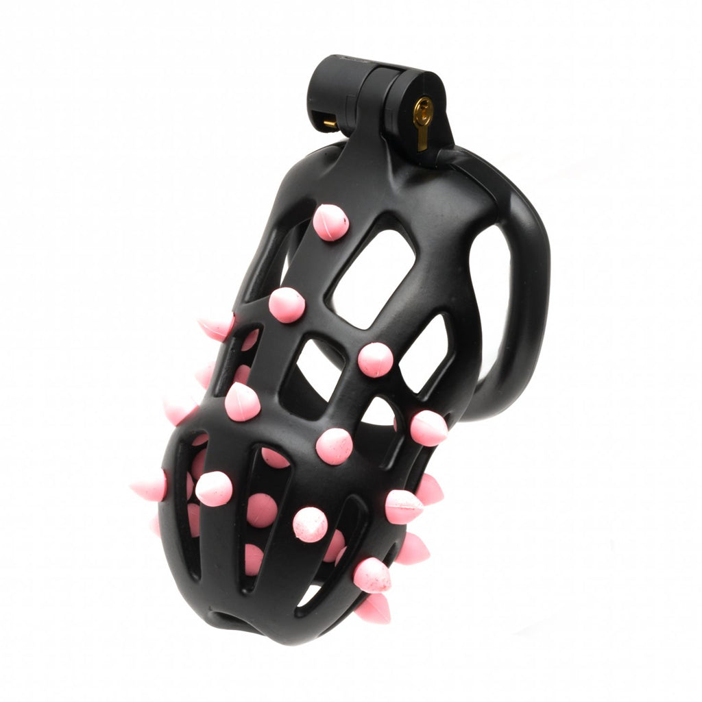 FlexiSpike Chastity Cage