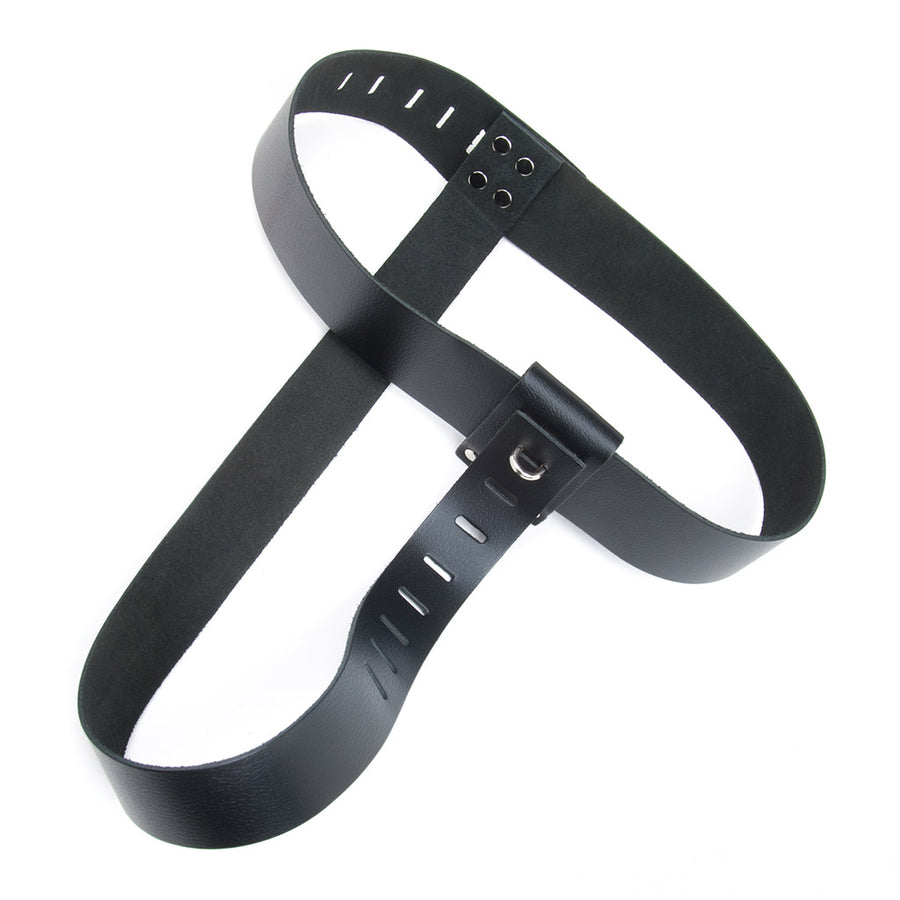 The Strap-in Chastity Harness is shown against a blank background. It is a black leather waist belt with a leather strip hanging down from the front, connecting to the back. The belt is adjustable and locks in the front and back.