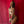 Load image into Gallery viewer, A nude woman with dark hair wearing black panties is shown in front of a red backdrop, tied up in shibari bondage with the 25 foot White Nylon Rope.
