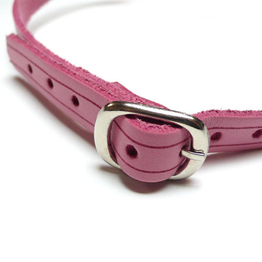A close-up of the buckle on the Pink Ball Gag is shown against a blank background. The gag has an adjustable strap and a silver metal buckle.