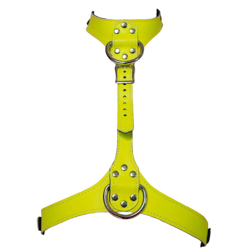 The yellow Neon Angel bust harness is shown on a white background