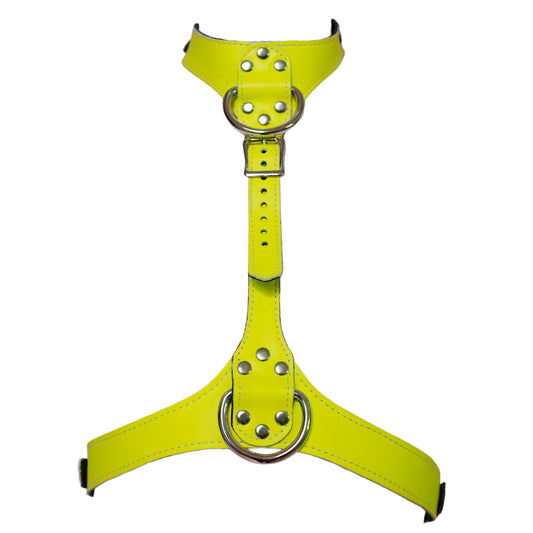 The yellow Neon Angel bust harness is shown on a white background