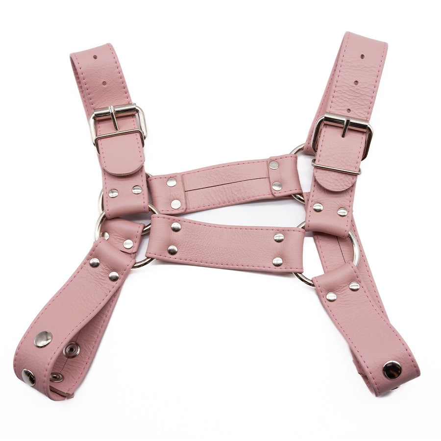 Stupid Cute Bulldog Harness