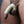 Load image into Gallery viewer, A close-up of a penis is shown with the shaft and top of the scrotum wrapped tightly in Clear Latex Bondage Strips.
