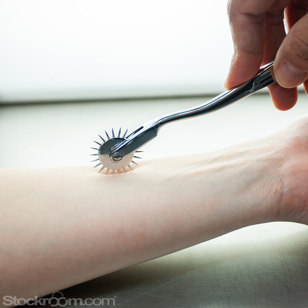 A models arm is shown stretched across a medical style metal table with The Wartenberg Pinwheel running along the  models arm. 
