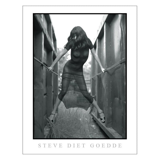 Steve Diet Goedde Poster, Gina Velour Black Dress-The Stockroom