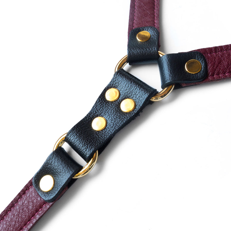 A close-up of the JT Signature Collection Tether is shown against a background, displaying the brass hardware connecting the strips of leather.