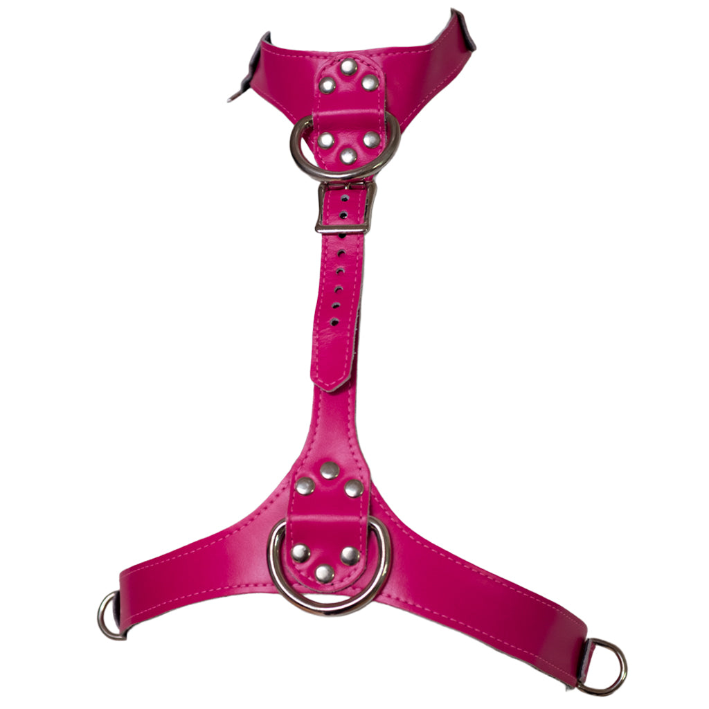 The hot pink Neon Angel bust harness is show on a white background