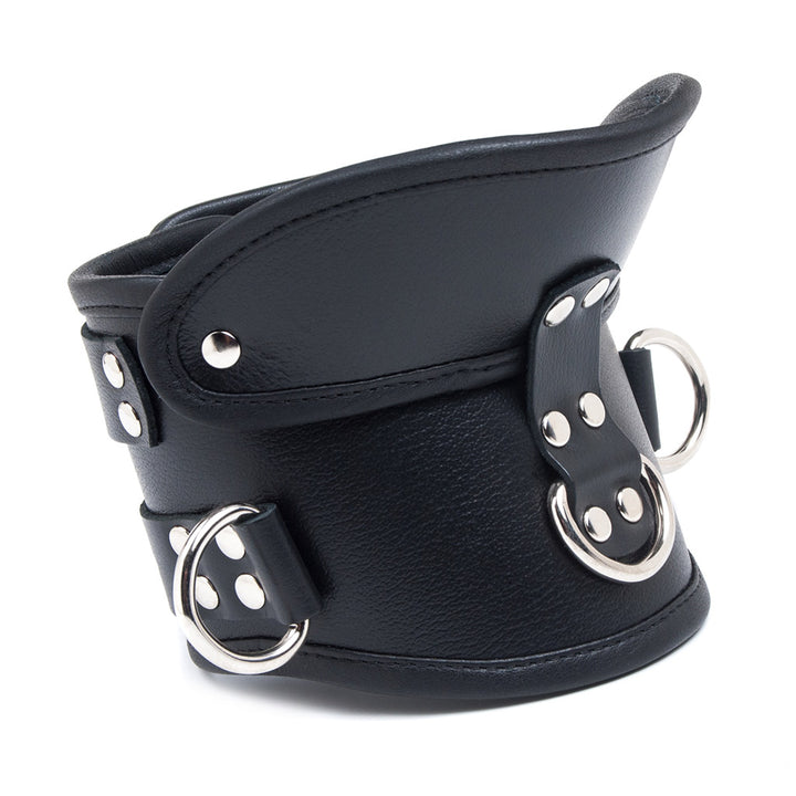 The Deluxe Padded Leather Posture Collar is shown from the front against a blank background. It is made of black leather with silver hardware. The collar has a D-ring in the center and one on each side. At the top, the collar angles outwards.