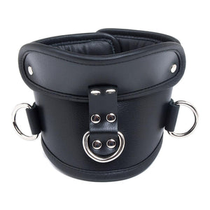 The Deluxe Padded Leather Posture Collar is shown from the front against a blank background.