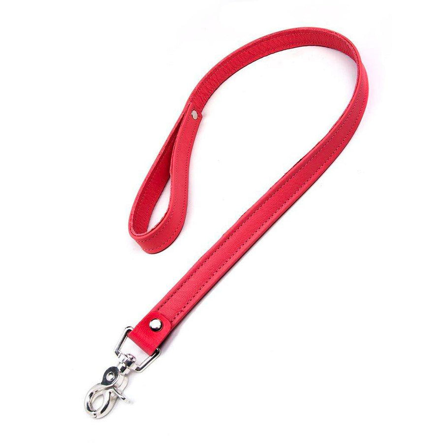 The red BDSM 2.5' Premium Garment Leather Leash is shown against a blank background. The leash is made of a strip of red garment leather looped into a handle on one end and with a metal snap hook on the other.