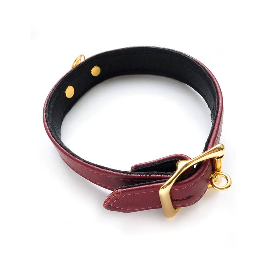The JT Signature Collection Collar is displayed from the back against a blank background, showing the lockable buckle in the back. The collar is adjustable.