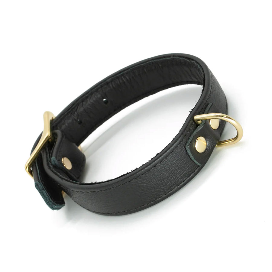 The black Garment Leather Collar With Brass Gold Hardware is shown buckled against a blank background.