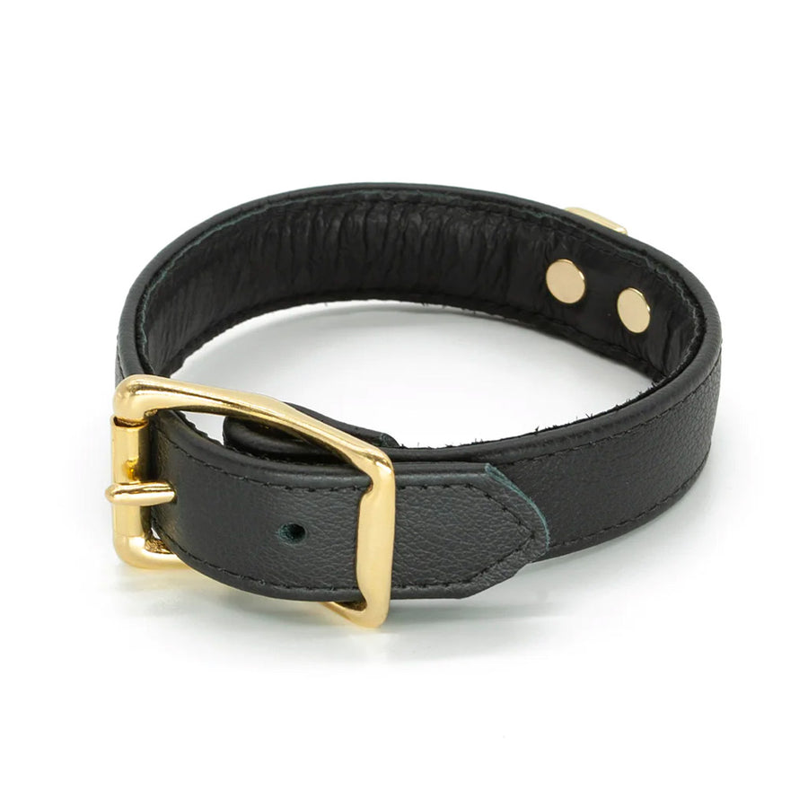 The black Garment Leather Collar With Brass Gold Hardware is shown buckled against a blank background.