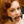 Load image into Gallery viewer, A close-up of a red-haired woman shows her wearing The Spider Gag. The gag&#39;s metal O-ring is in her mouth, and metal brackets attached to it keep her mouth open and attach to black leather straps.
