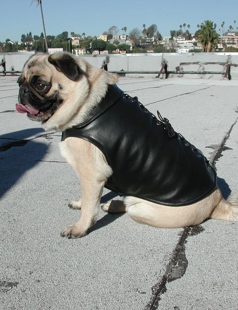 Leather Dog Vest-The Stockroom
