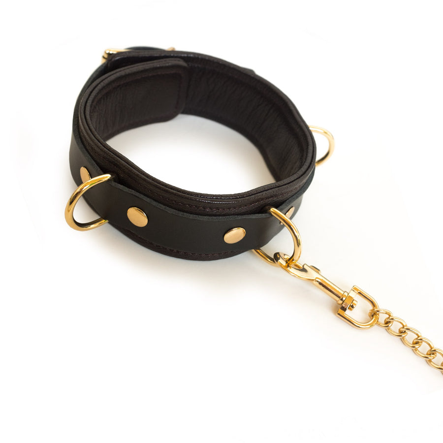 A close-up of the Brown Leather Collar With Gold Accent Hardware is shown against a blank background. The leash is clipped onto one of the D-rings.