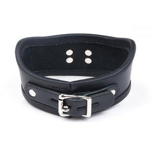 The Curved Posture Collar is displayed from the back against a blank background. The collar has a silver buckle.