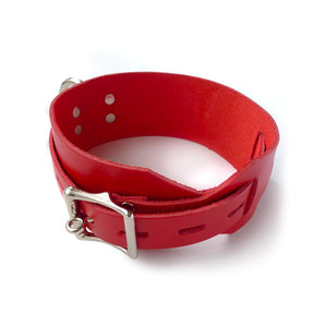 The Red Deluxe Buckling Collar is shown from the back against a blank background. It has an adjustable strap and a locking metal buckle.