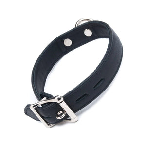 The Premium Garment Leather Collar in black is shown from the back against a blank background, displaying the silver buckle.