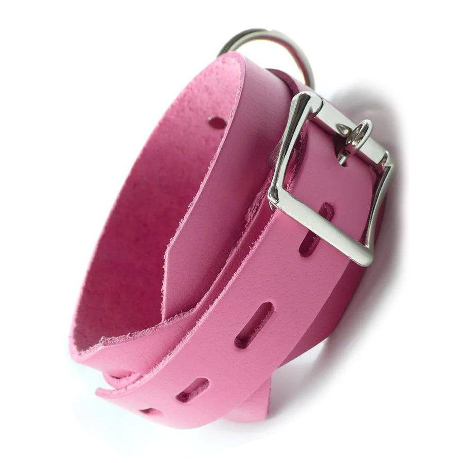 The Pink Leather Collar with Locking Buckle is shown against a blank background displaying the lockable metal buckle.