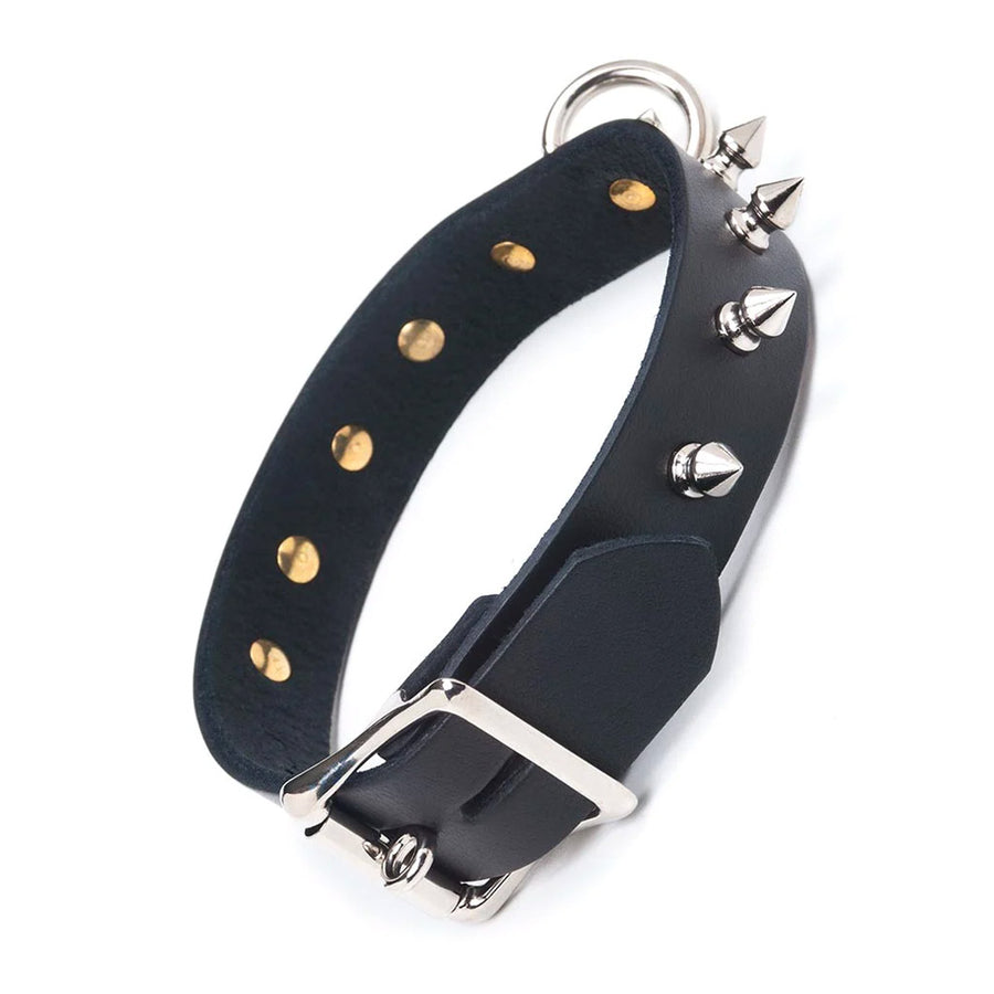 The Leather Collar with Spikes is shown from the back against a blank background. The collar has an adjustable strap and a lockable buckle.